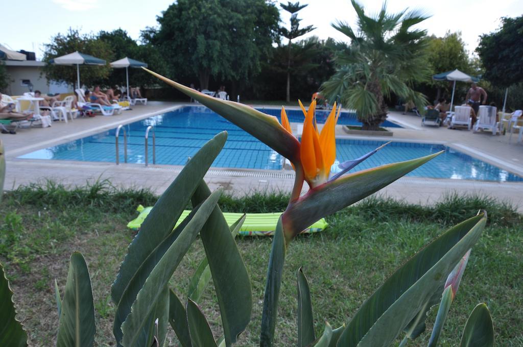 Stork Hotel Amoudara Lasithiou Extérieur photo